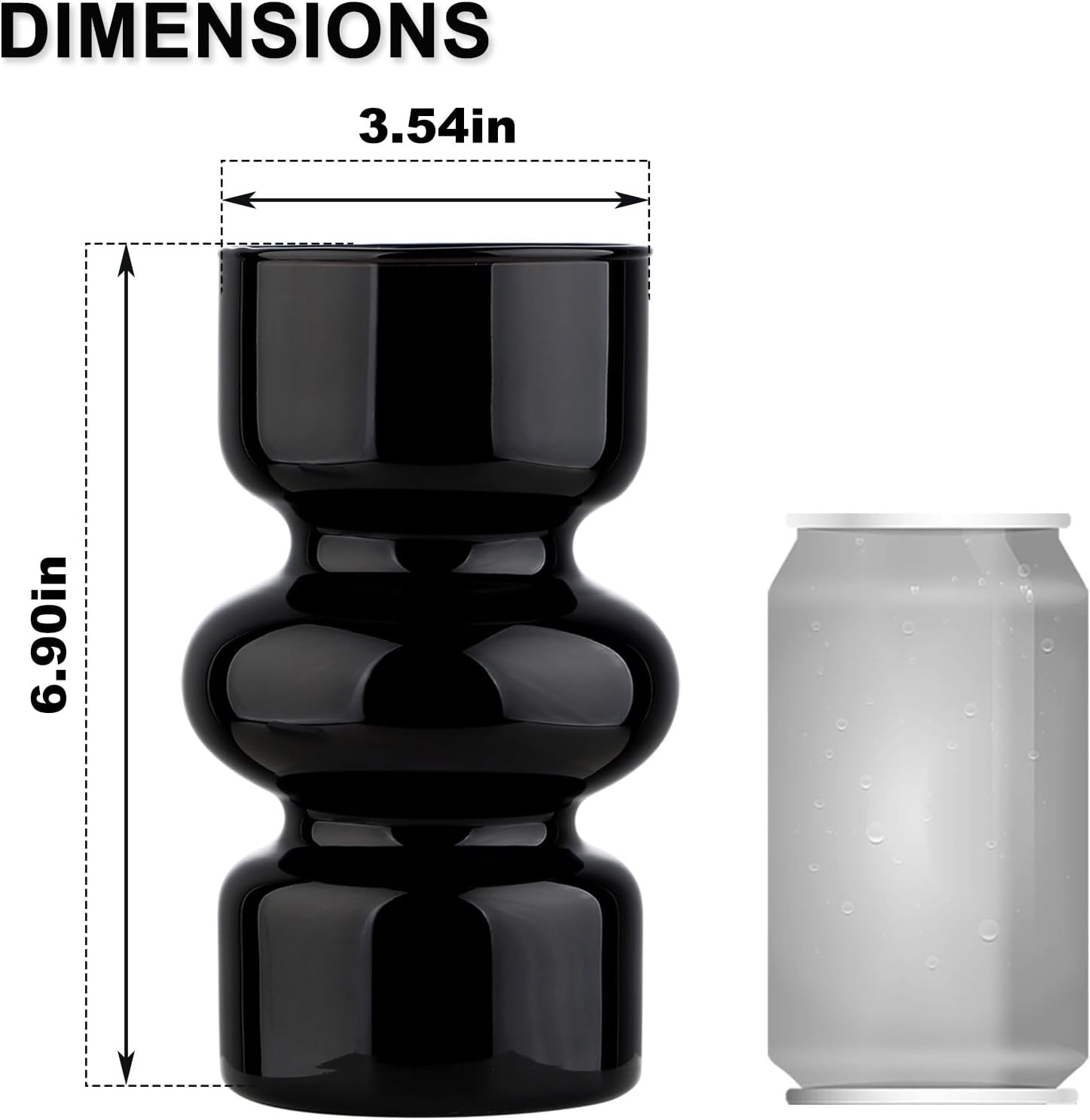 Glass Hydroponic Vase / Black / 7 Inch