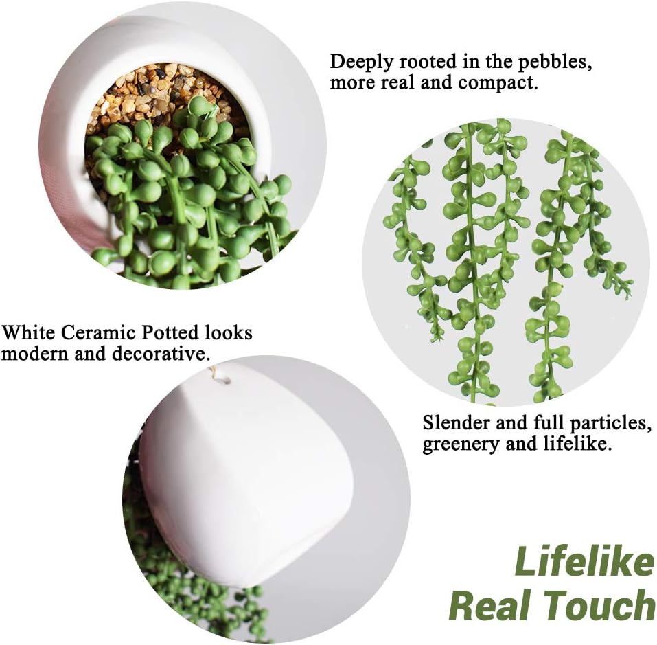 Faux String of Pearls Plants / Fake Succulents In White Pots / Set of 2