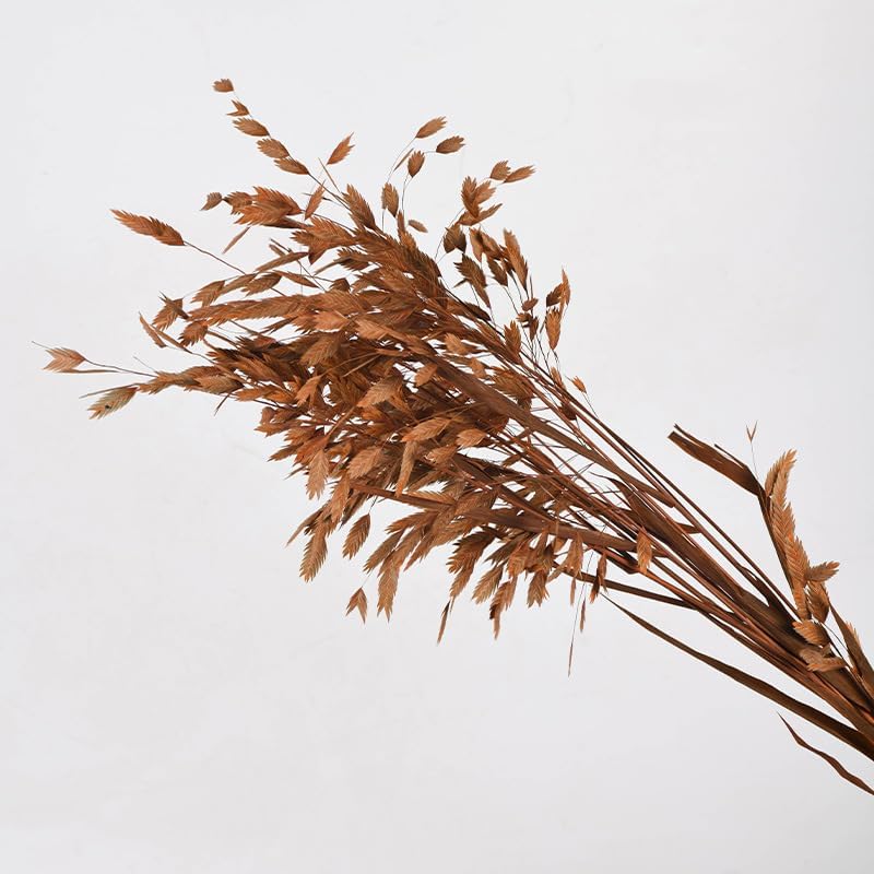 Dried Grass Bundle, 20 Stems 15-17 Inch Natural Chasmanthium Flower Bouquet for Vase, DIY Floral Arrangements, Weddings Party Home Baby Shower Elegant Decor (Brown)
