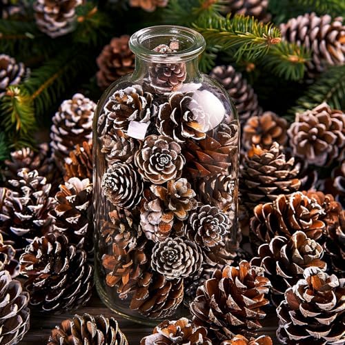 700 Pcs Christmas Natural Mini Pine Cones - Small Xmas Snow Pinecones Decor