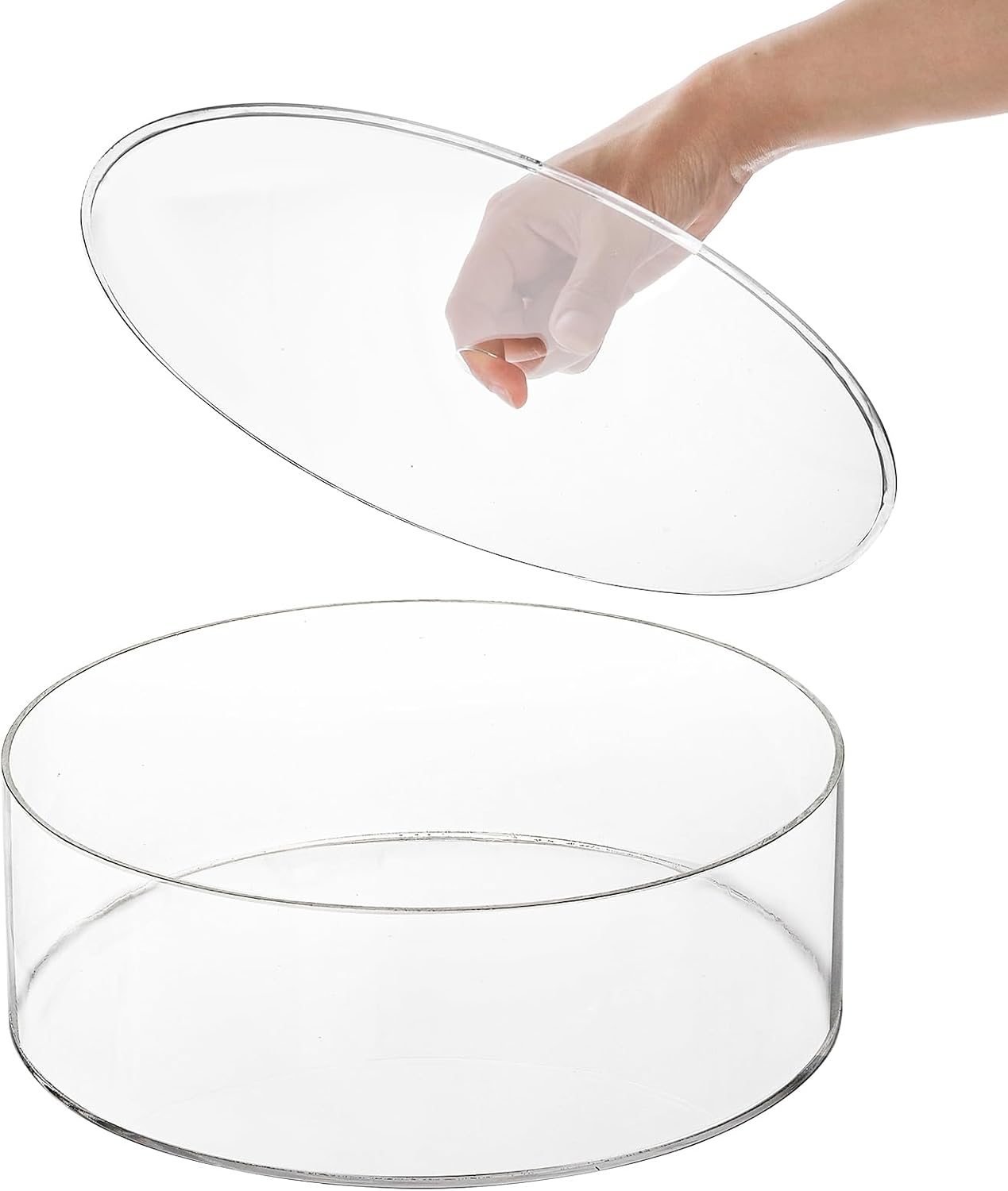 Set of 2 Clear Acrylic Fillable Cake Stand, Cake Tier Display Stand Cupcake Stand, 12 Inch & 8 Inch Round Cylinder