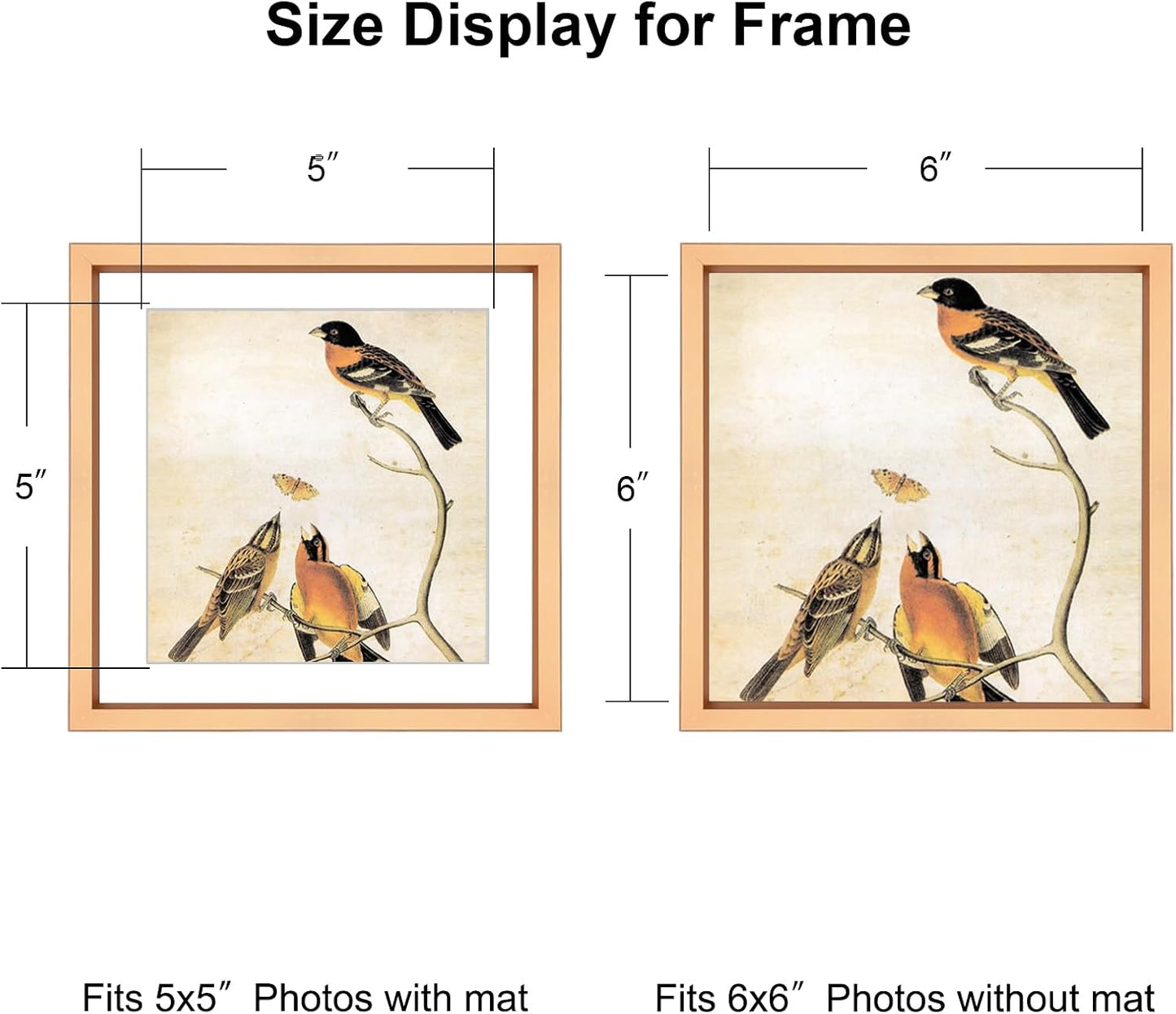 BKABOT 6x6 Gold Metal Photo frames 3 Pack HD Glass Mat 5x5 Wall Table | Brushed aluminum Picture frames,removable
