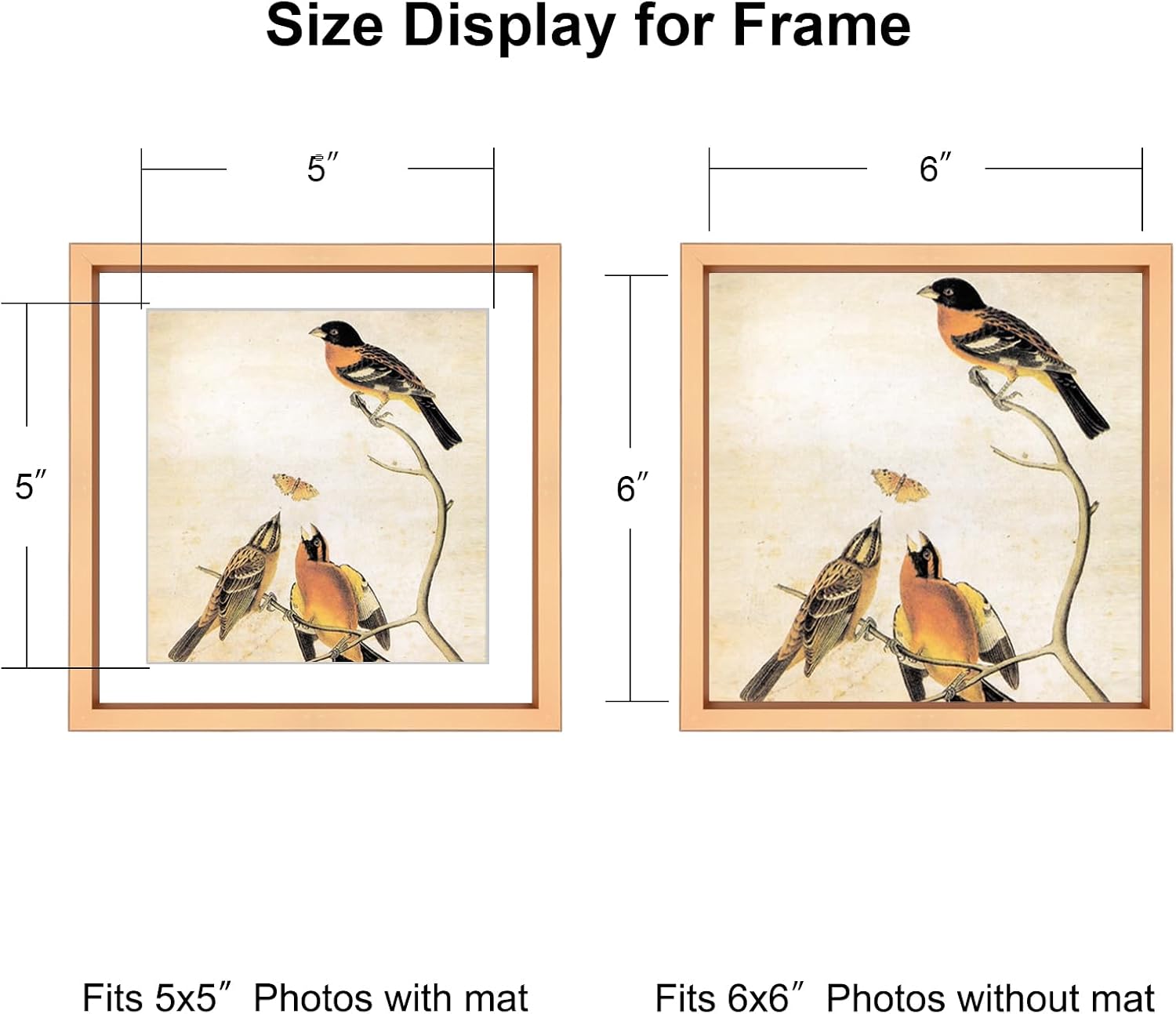 BKABOT 6x6 Gold Metal Photo frames 3 Pack HD Glass Mat 5x5 Wall Table | Brushed aluminum Picture frames,removable