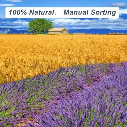 2 Pack Dried Lavender & Wheat Flowers Bundle, 17'' White and Blue Flowers