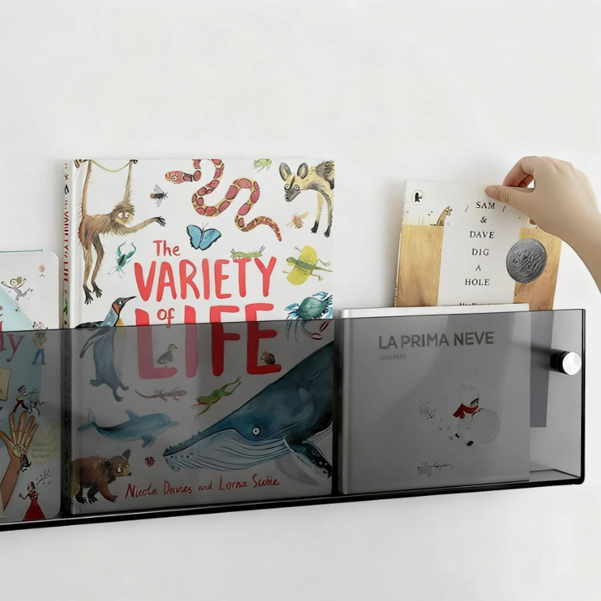 ROYALITA 2-Pack Acrylic Magazine Holder Brochure Holder, Gray 36 Inch | Record Magazine Rack, Fashion Floating