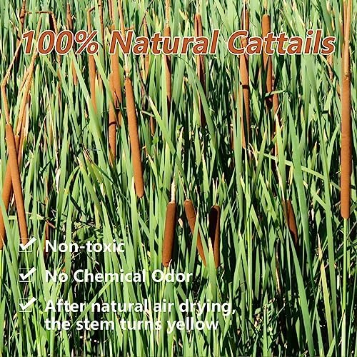 Dried Natural Brown Cattails Flowers - 20PCS Real Broadleaf Pencil Cattail Stems Bundles, 17'' Bulrush Plants Dry Flower for DIY Floral Arrangements, Wedding Home Office Gardens Decor