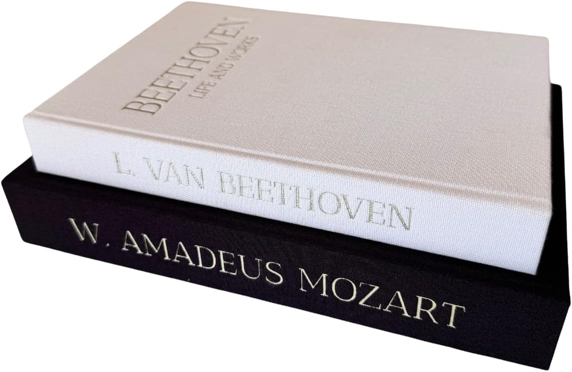 Decorative Books / Bookshelf / Black and White / Set of 2