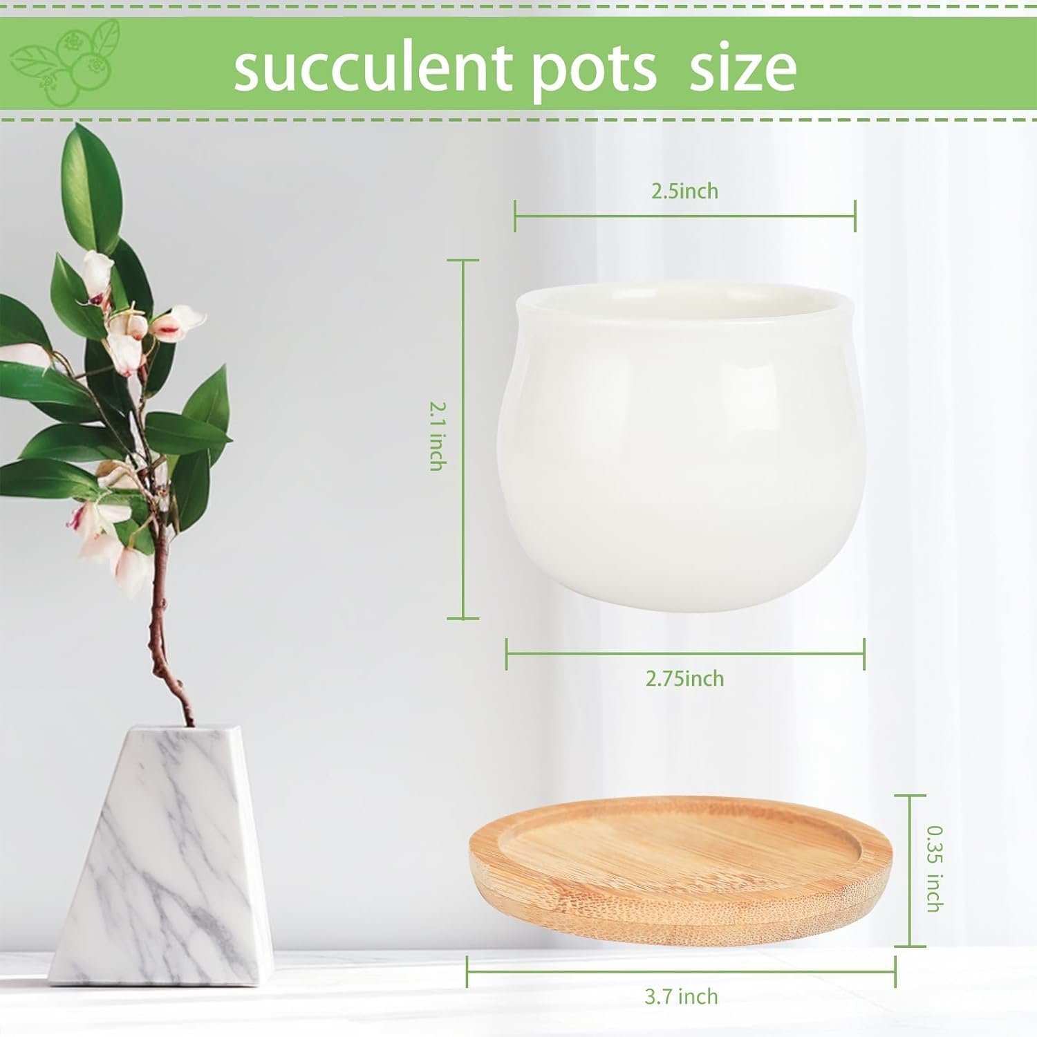 Ceramic Flower Planter Pot / White Mini / 2.5 Inch / Set of 12