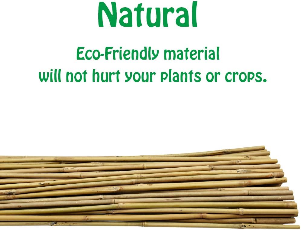 Natural Bamboo Trellis 24 Inches Tall, Mininfa Garden Ladder Trellis, Plant for Climbing Plants, Vegetables, Pots - 3