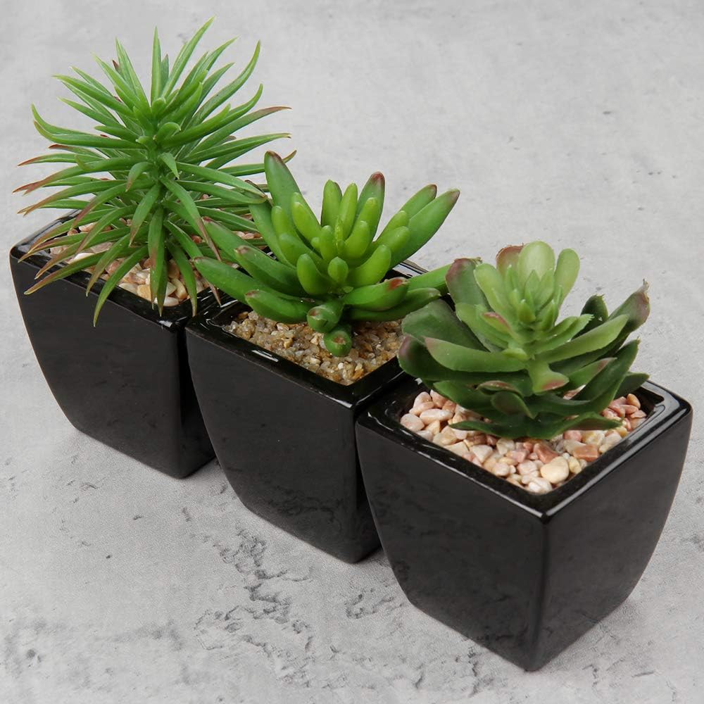 Small Succulents Artificial Faux Succulents in Pots Fake Succulent Plants / Black Ceramic / Set of 3