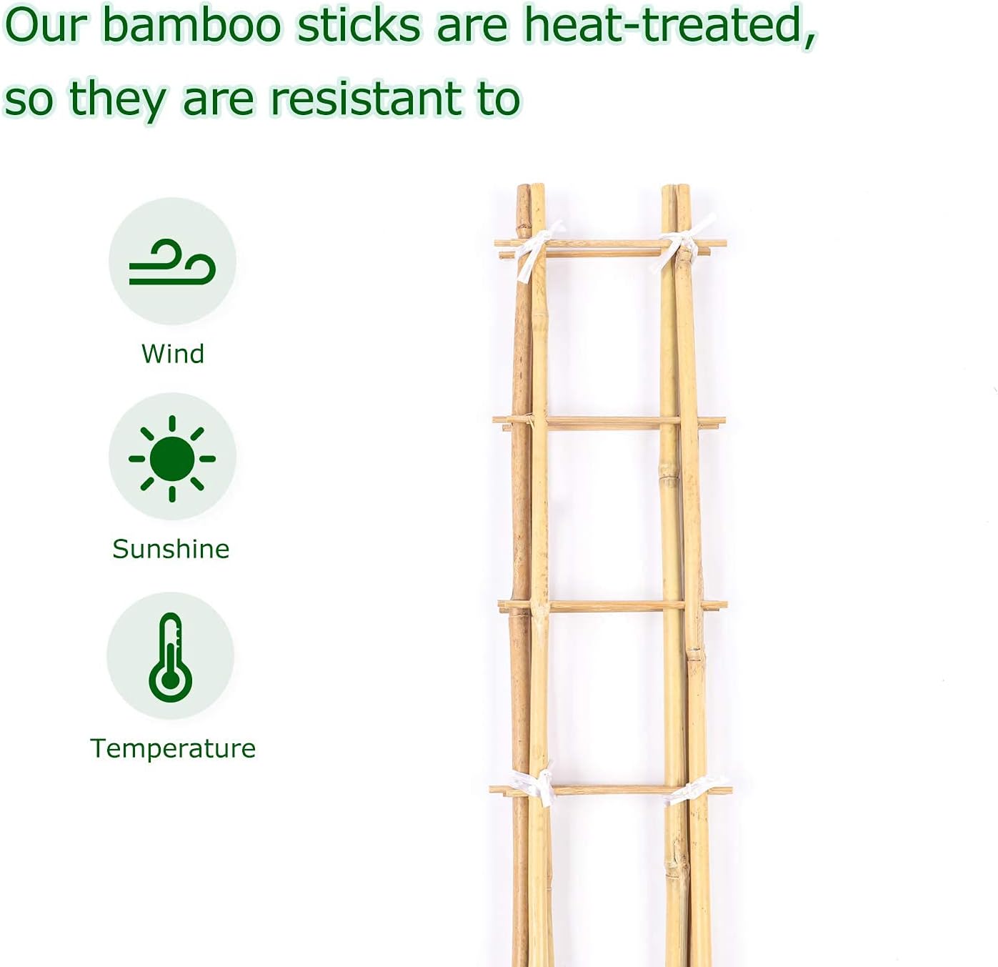 Cambaverd Indoor Plant Trellis, 24in Ladder-Shaped Bamboo Trellis 3 Pack | Natural plant trellis for potted plants