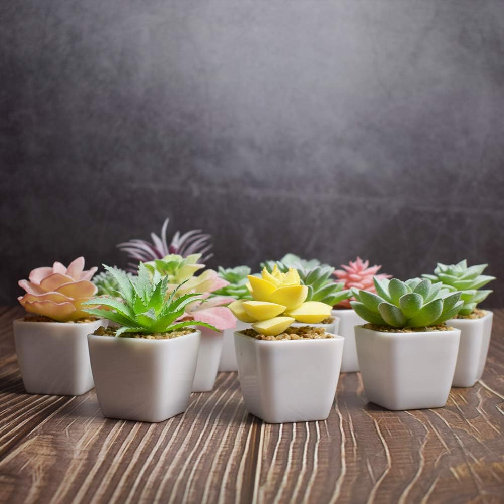 Artificial Faux Succulents in Pots Fake Plants Plastic Arrangement Planter Small Mini / White-12
