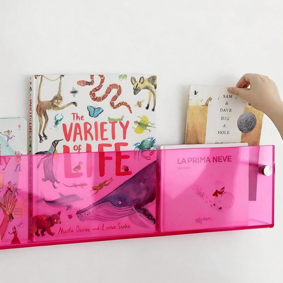 ROYALITA 2-Pack Acrylic Magazine Holder Brochure Holder, Pink 36 Inch | Record Magazine Rack, Fashion Floating