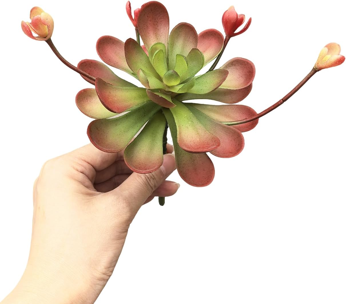 Artificial Succulent Plants / Red-a / Set of 2