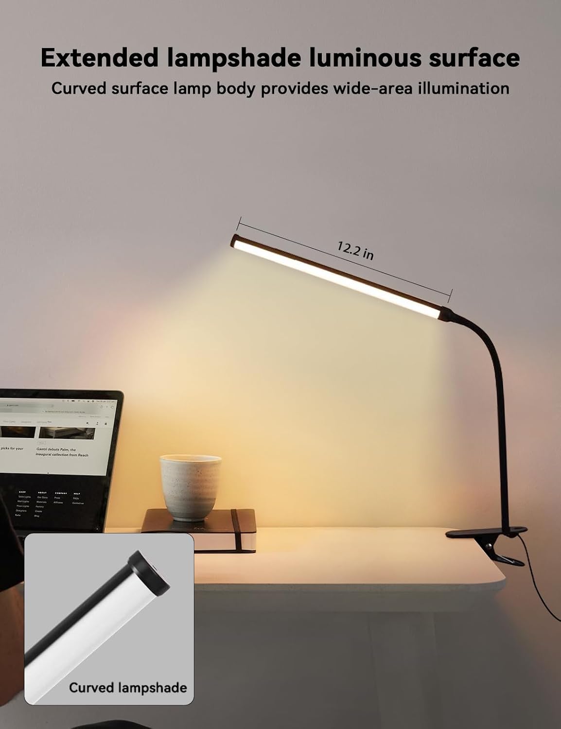 2 Pack LED Desk Lamp with Clamp,Eye-Friendly Clip on Lights for Home Office Study Reading,3 Modes 10 Brightness,Long