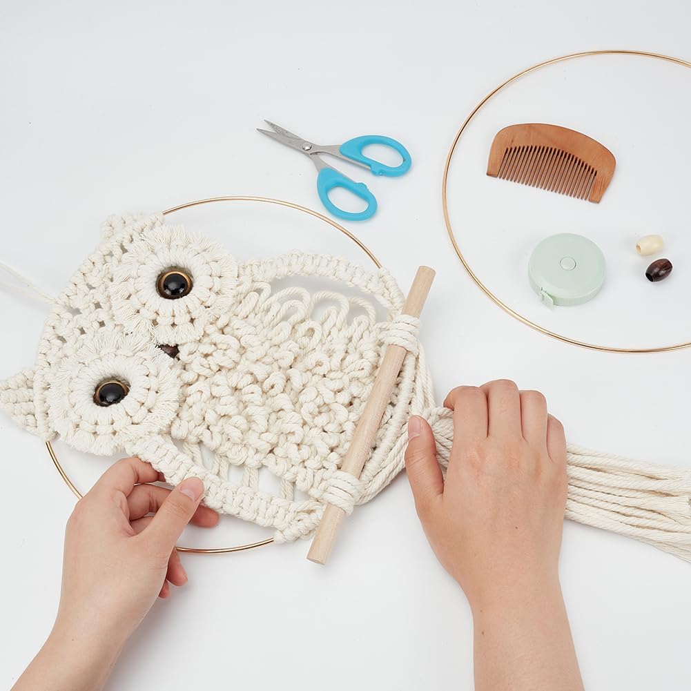 DIY Macrame Owl Wall Hanging Tapestry Kit Owl Macrame Kit for Beginner Boho Handmade Woven Macrame