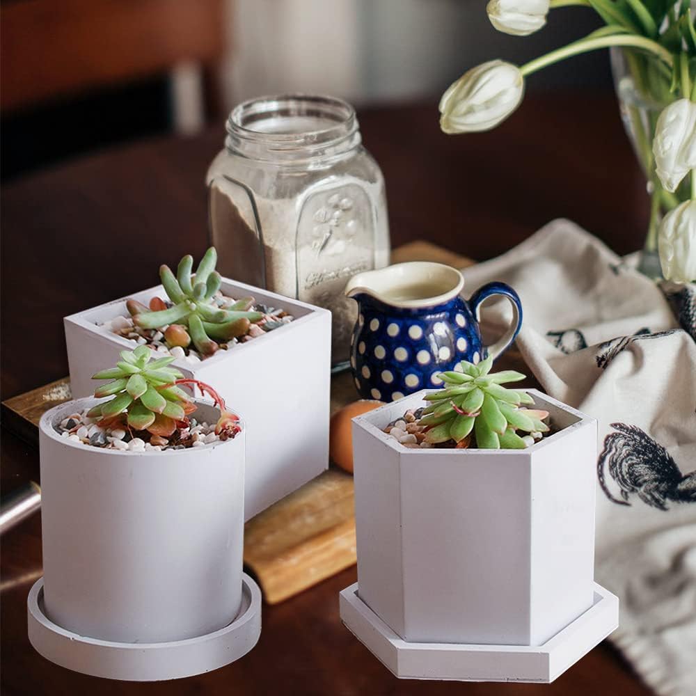 Large Silicone Plant Molds / 3pc Containers+3pc Coasters / Set of 3