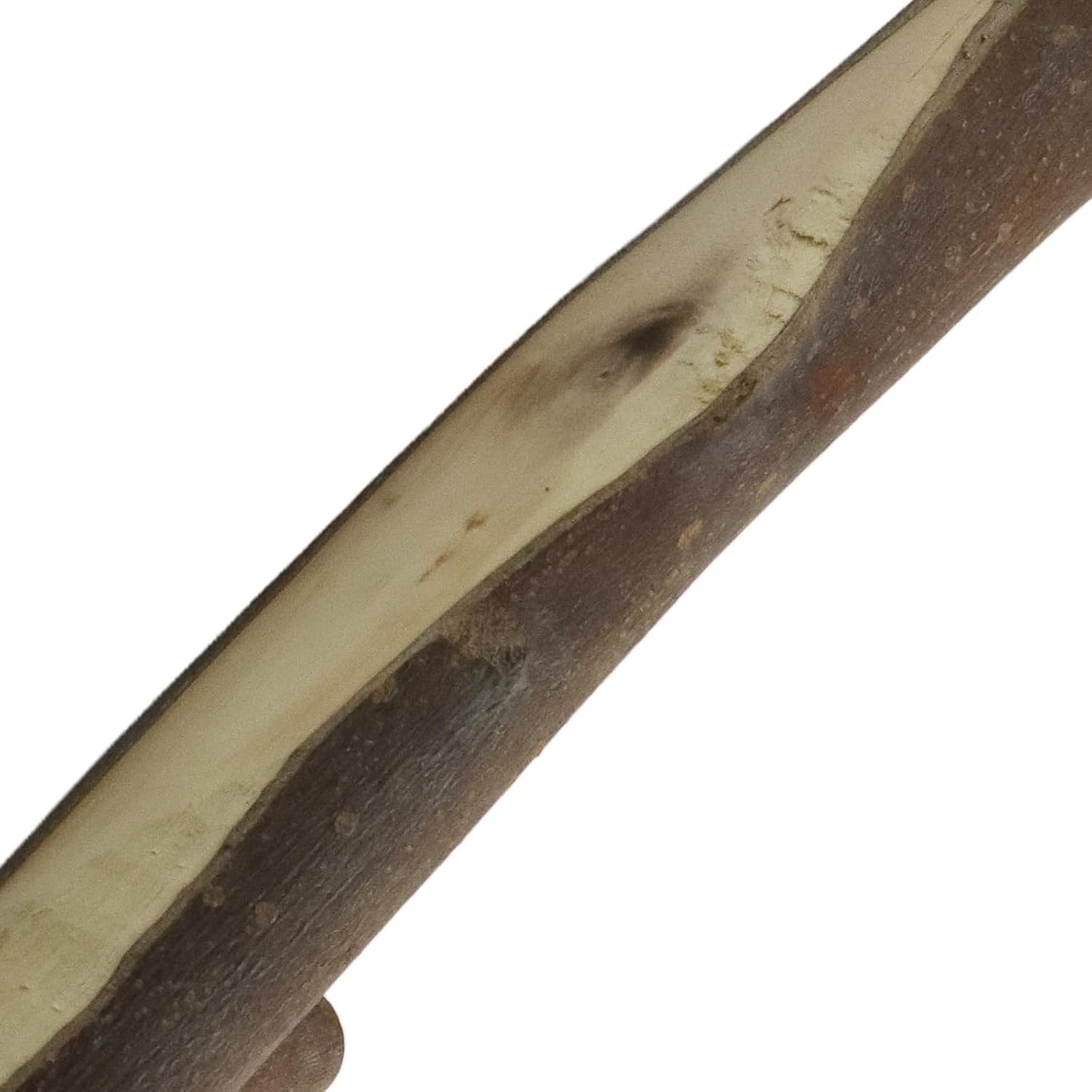 Real Wood Tree Branch Double Wall Hooks / 2-3cm Double Hooks / with Bark / Set of 2