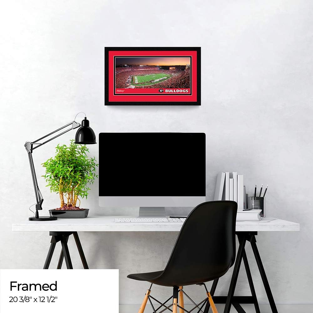 Framed Panoramic Picture / 8 x 12 / 20 3/ 3/8-inches