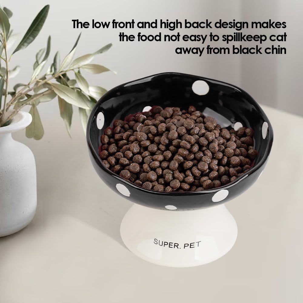 Elevated Ceramic Bowl for Cats / Purple