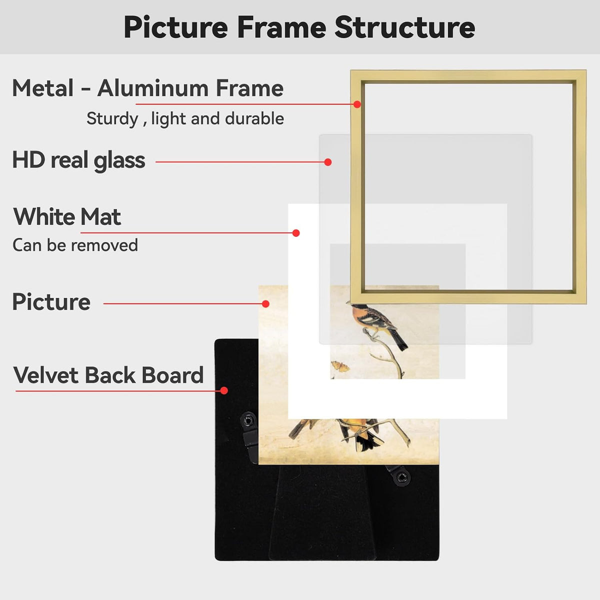 BKABOT 12x12 Blass Picture Frame Fits 10x10 with Mat HD Glass 3 Pack | Thin brushed aluminum Photo frames, removable