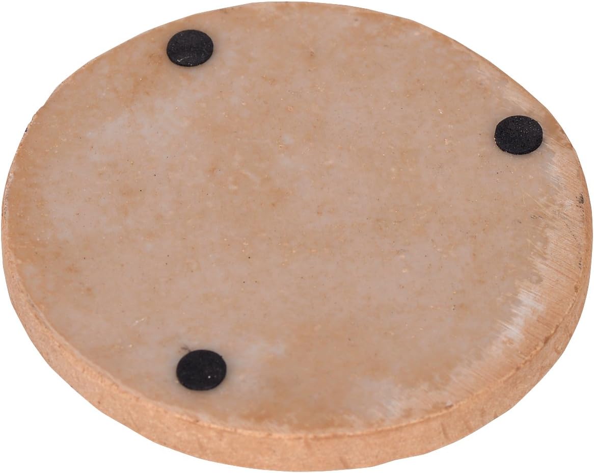 Nautical Outdoor Coasters / Seashell / Set of 4