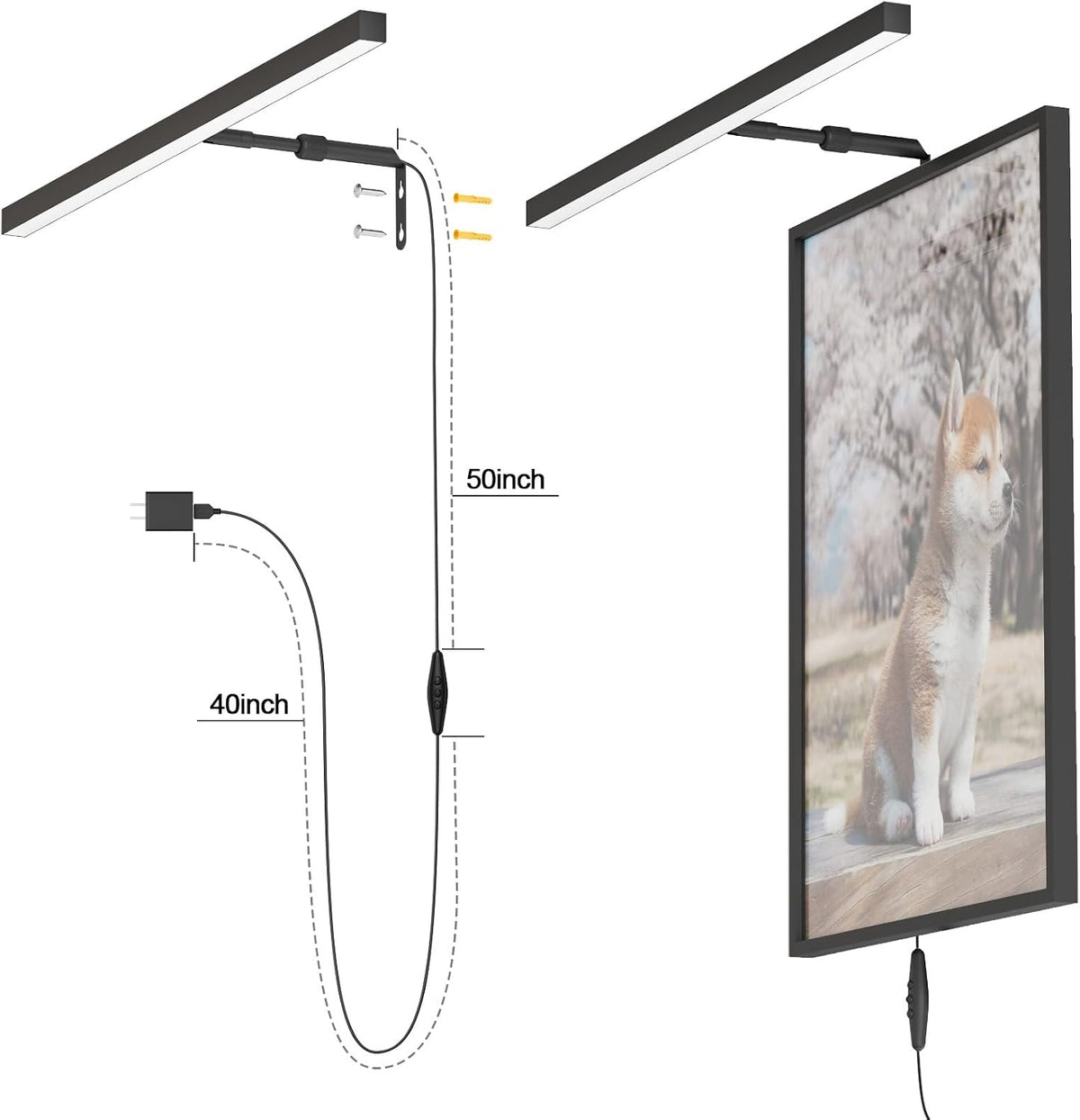 24" Plug in Picture Light for Paintings with Remote Control, 9W LED Art Display Lighting for Gallery, Dartboard