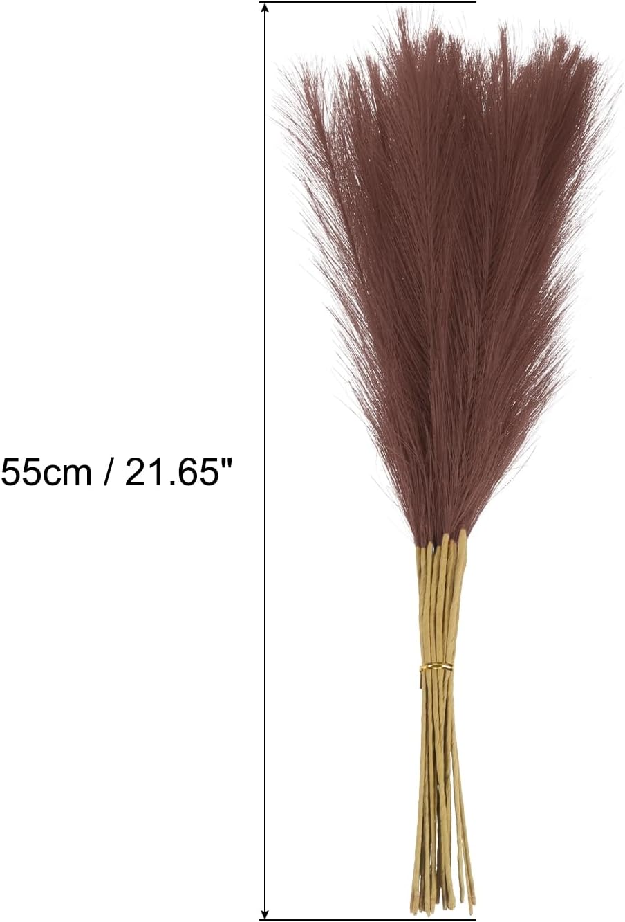Faux Pampas Grass / Dark Brown / Set of 15