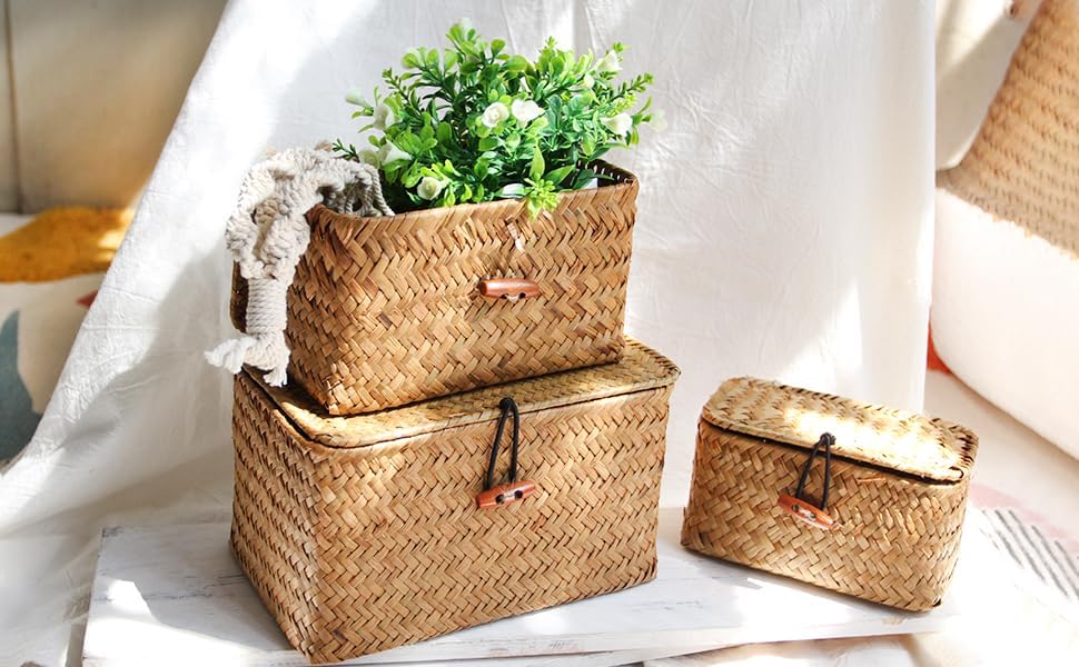 Lid Handwoven Seagrass Storage Box Wicker Basket Desktop Makeup Organizer / Original / Set of 3
