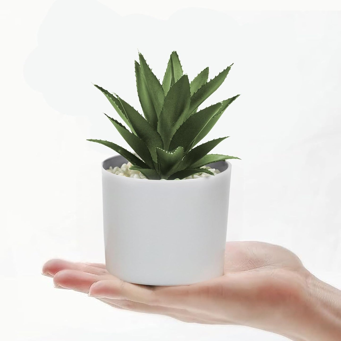 Succulent Plants Artificial in White Pots Small Faux Potted / Faux Plants-white / Set of 3