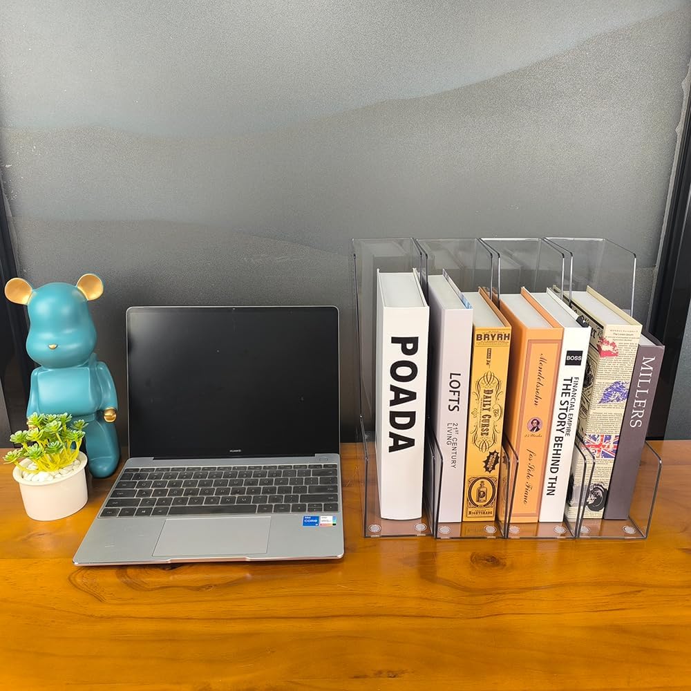 Clear Vertical File Holder, 4 pack, for Home Office | Clear plastic Magazine Organizer, 2-pack. Multi-purpose document