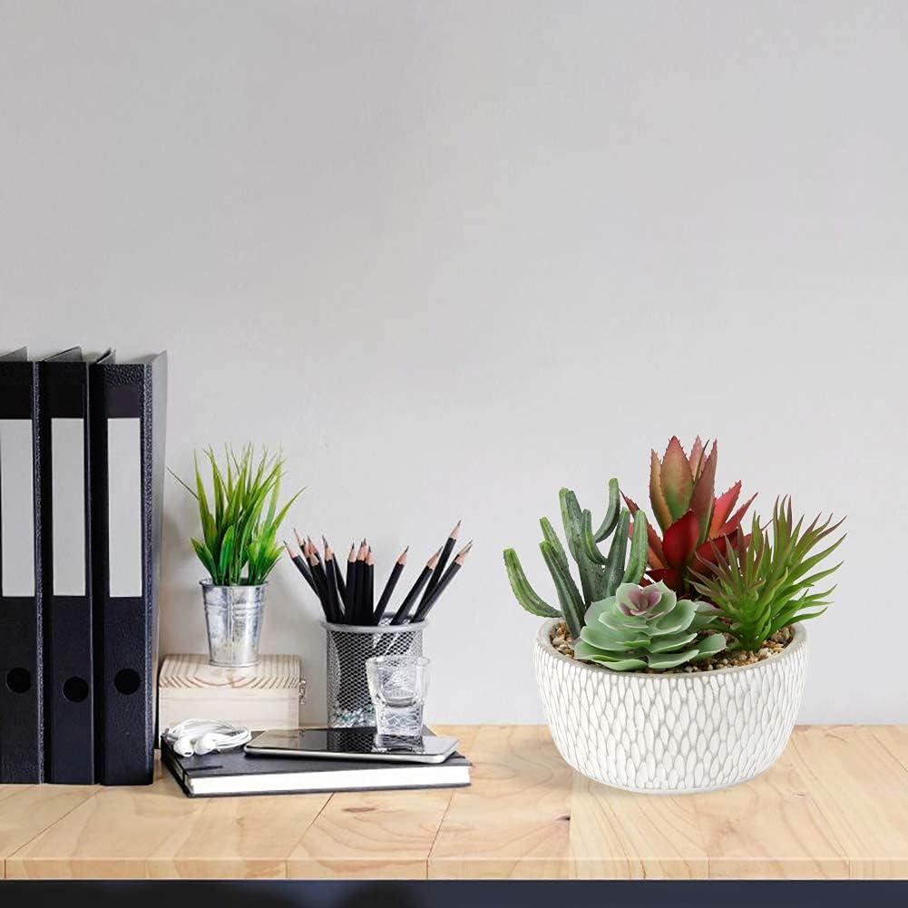 Small Fake Plants Assorted Faux Succulents in Pots Realistic Succulents Plants / Succulent #06