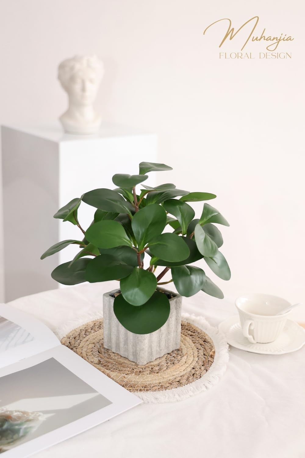 Artificial Potted Plant / Peperomia