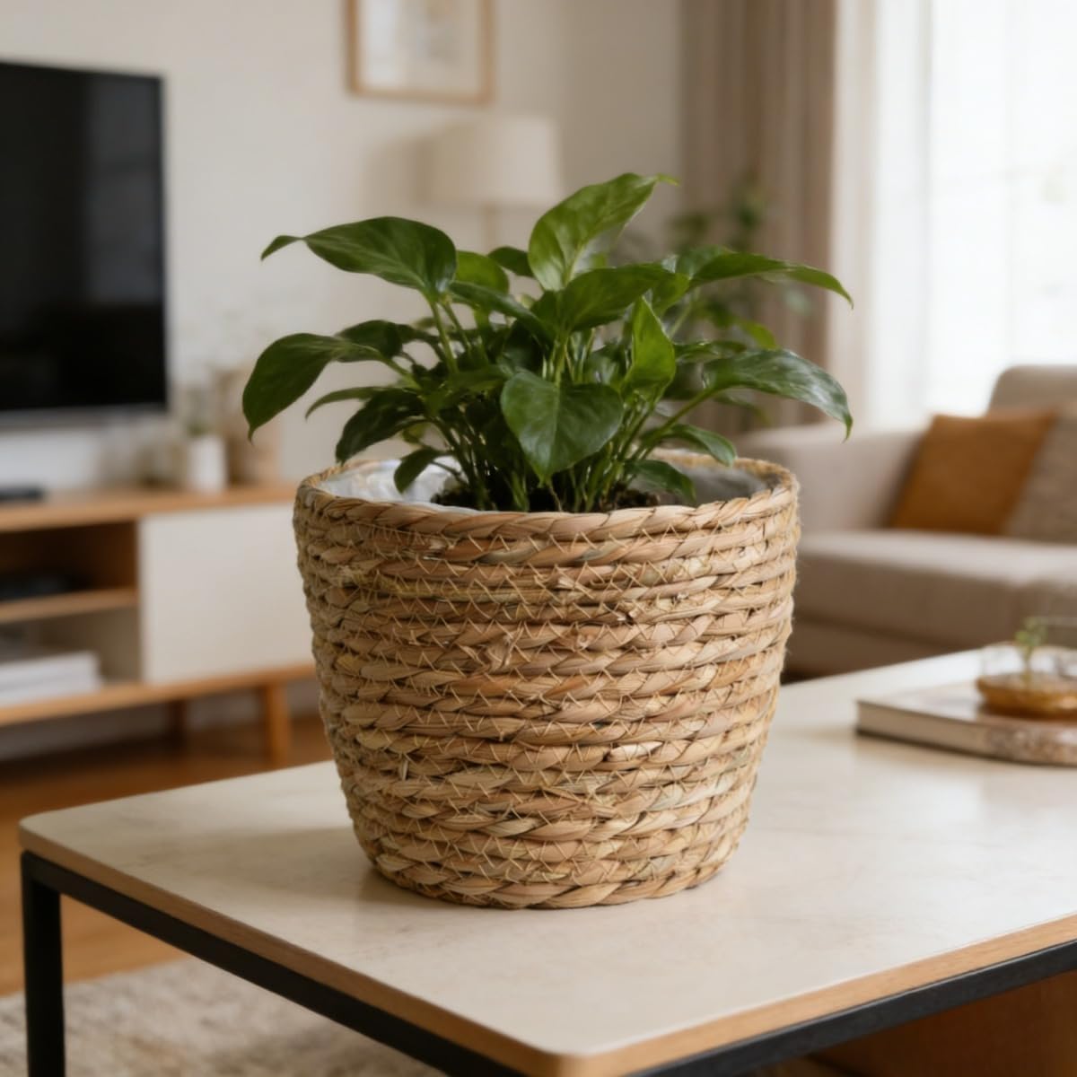 Woven Basket / Seagrass Planter Basket / 9.8 x 7.5 / 1.0