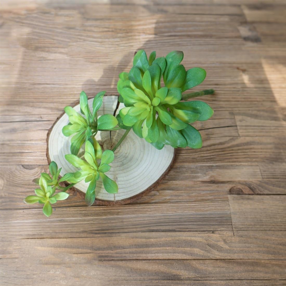 Artificial Succulent Plants / Green / Set of 2