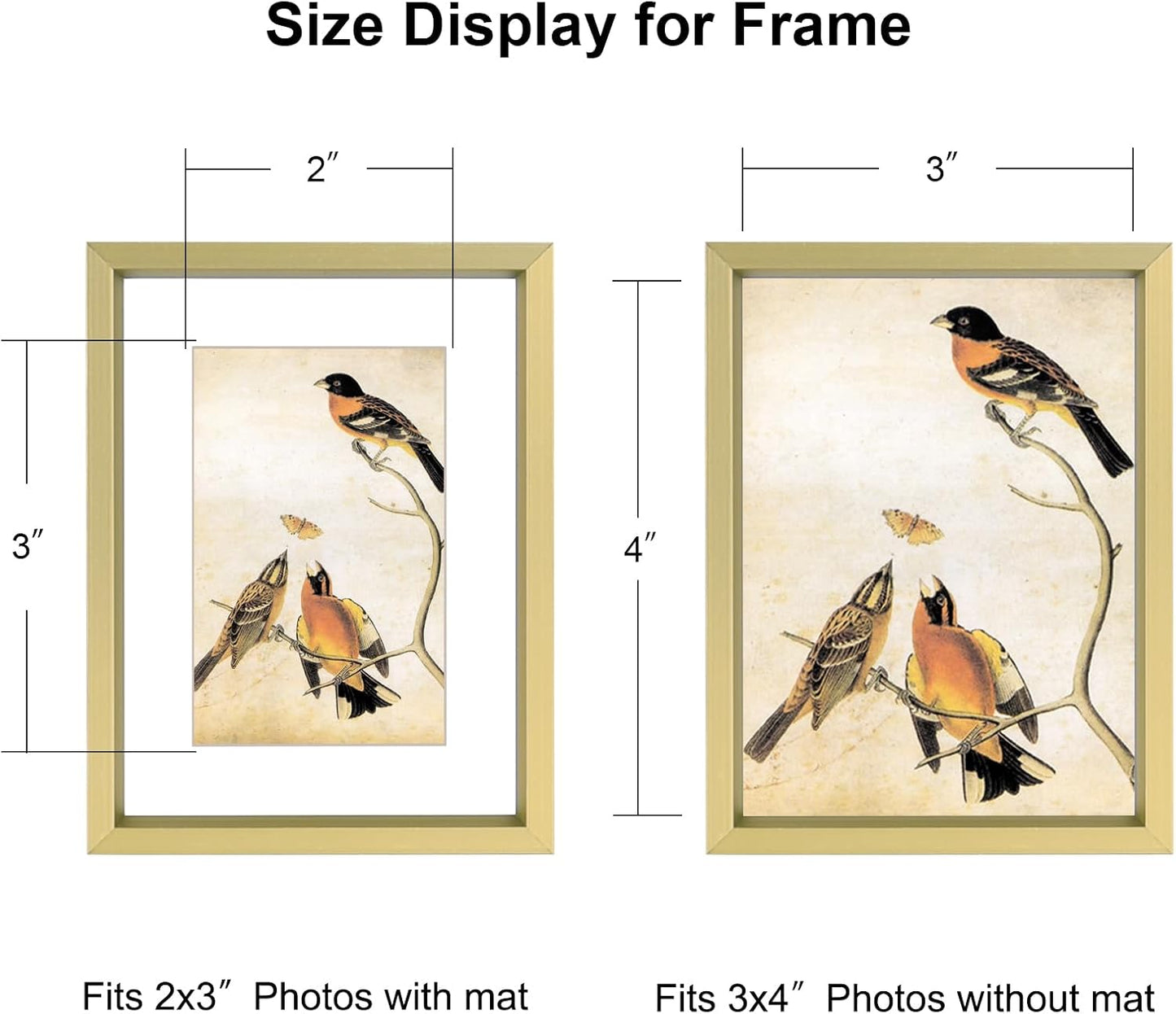 BKABOT 3x4 Brass Aluminum Photo frames 3 Pack HD Glass Mat 2x3 Wall Table | Brushed aluminum Picture frames,removable