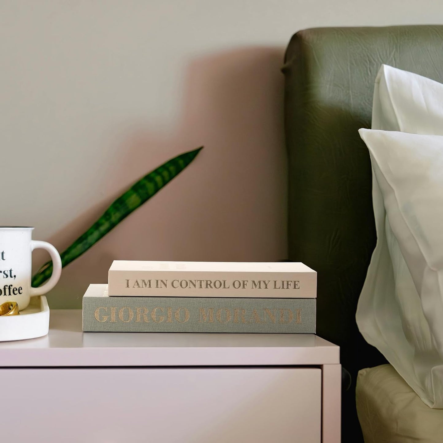 Fake/Faux Book Box / Sage-beige / Set of 2