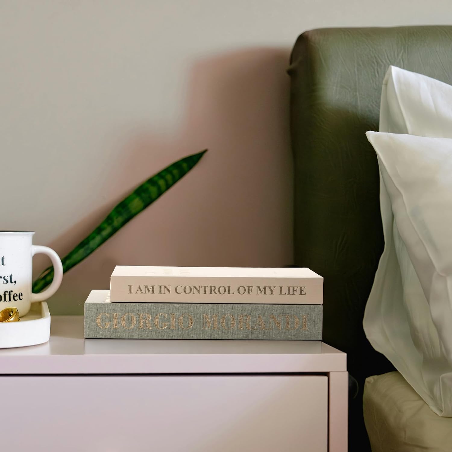 Fake/Faux Book Box / Sage-beige / Set of 2