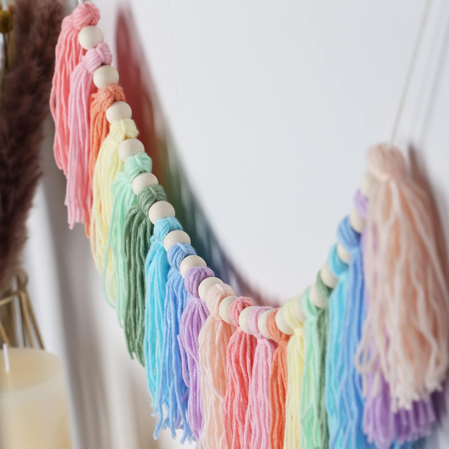 Boho Tassel Garland / C