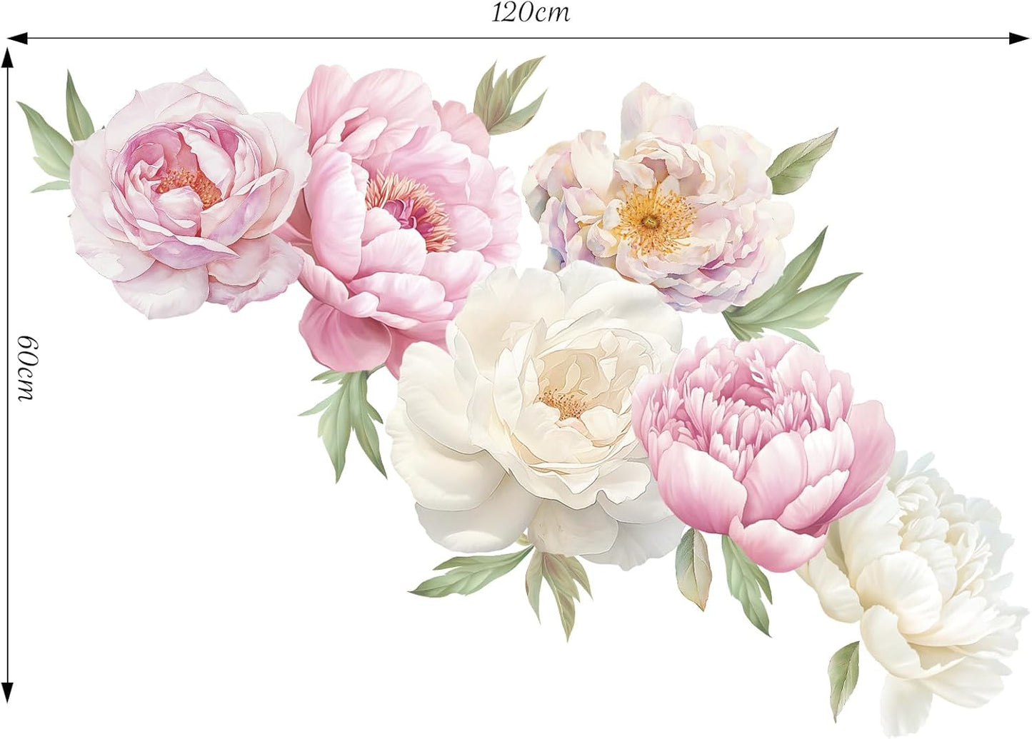 Vinyl Peony Wall Decal / Sch-25f-0061 / Pink