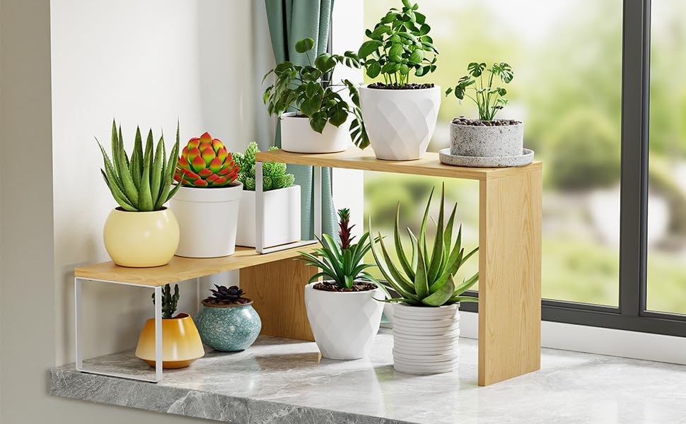 Cabinet Organizer Shelf, 2-Tier Kitchen Counter Organizer Corner Shelves Coffee Bar Organizers for Countertop Kitchen