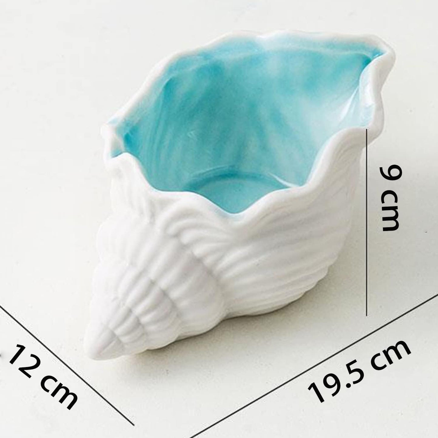 Large Conch Jewelry Dish Tray SeaConch Bowl Ceramic / Conch Jewelry Tray Bowl / 7.7 x 4.7 x 3.5
