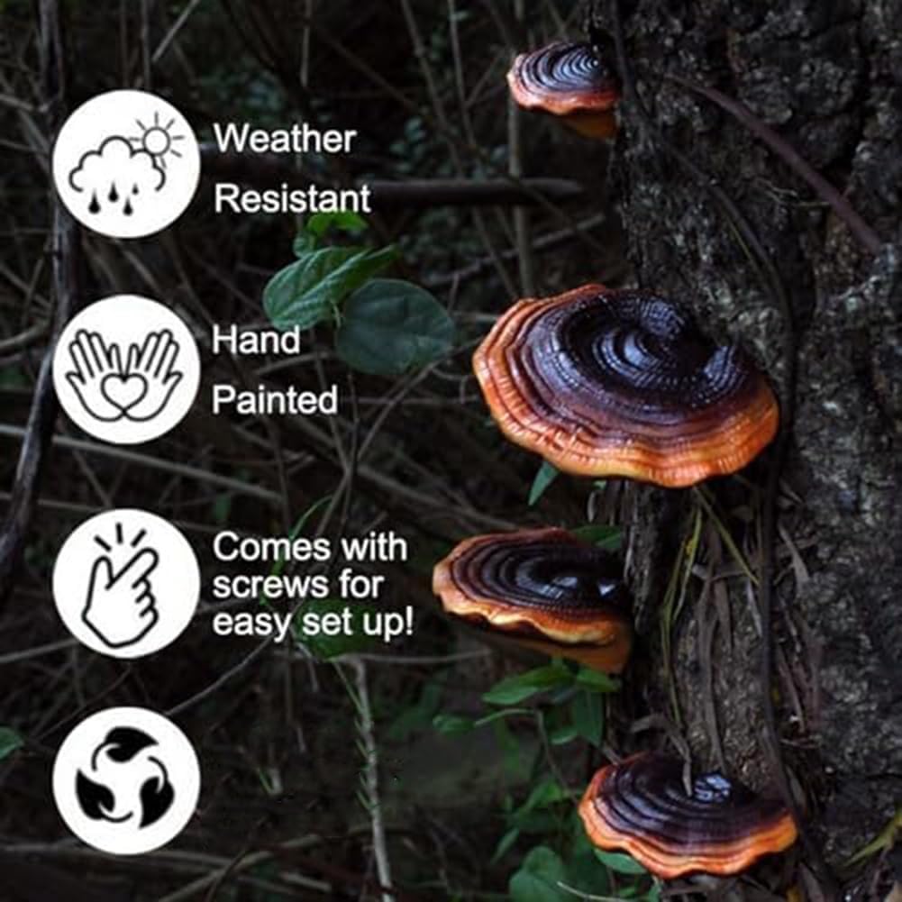 Mushroom Shelf Wall Decor Small Wall Shelf Corner Wall Decor Resin / Set of 5