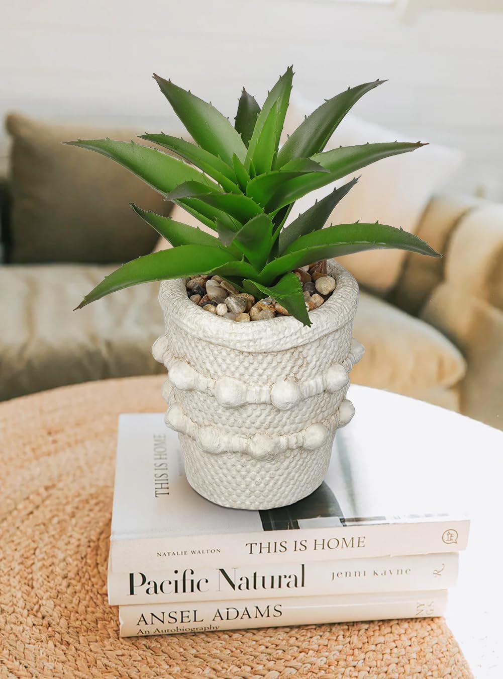 Small Artificial Succulents Agave Plants Potted Fake Spiked Succulent Plant / Green / Set of 2