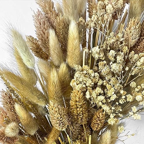 Galt International 21" Preserved Golden Natural Dried Lush Wheat Autumn Fall Wreath - Straw Wreath for Front Door Farmhouse Harvest Thanksgiving Decorations Home Decor Pampas