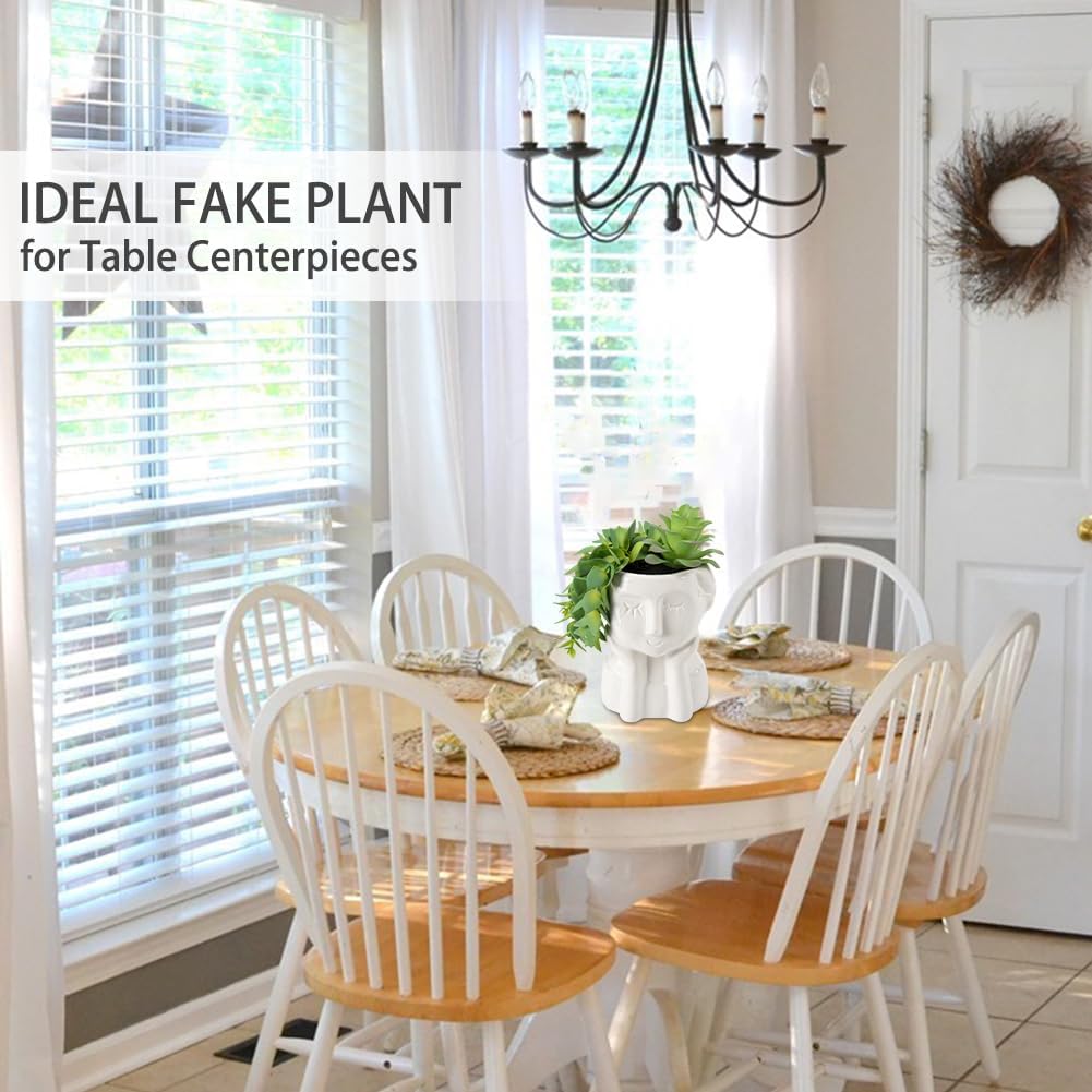 Fake Succulents Plants Artificial Succulents in Ceramic Pots Fake Potted Plants Faux Plants / Green