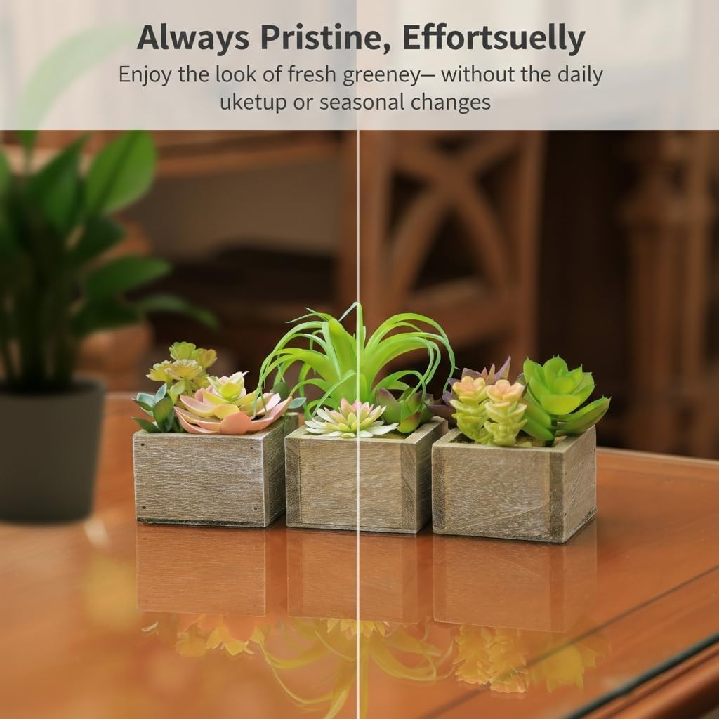 Mini Potted Greenery in Rustic Wood Planters / Organic / Set of 3