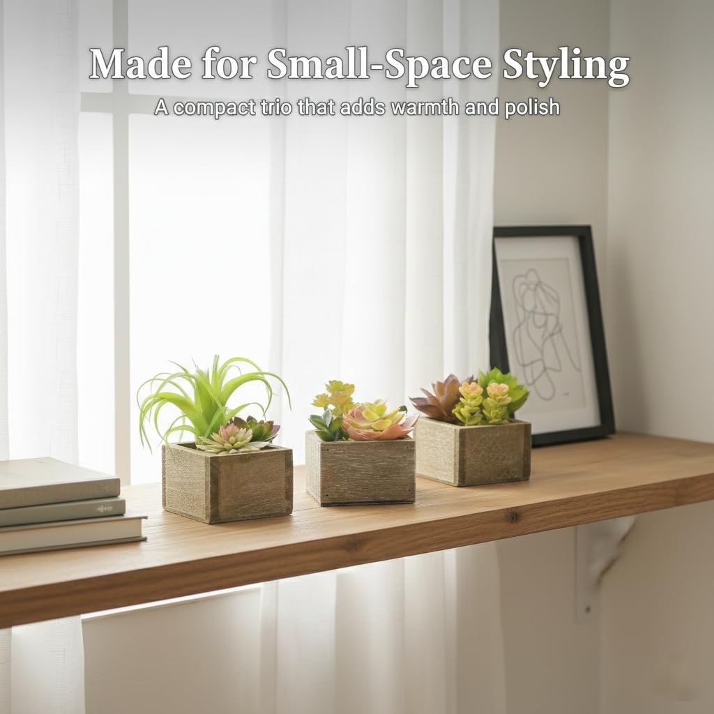 Mini Potted Greenery in Rustic Wood Planters / Organic / Set of 3