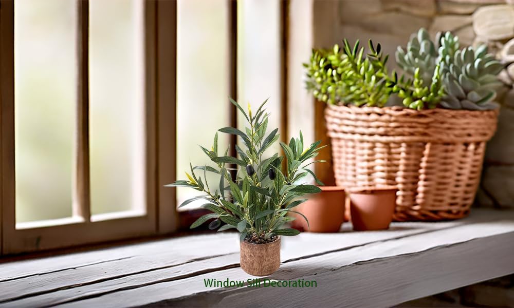 Indoor Fake Olive Plant Faux Silk Leaves / Plant A / Black / 12 Inch