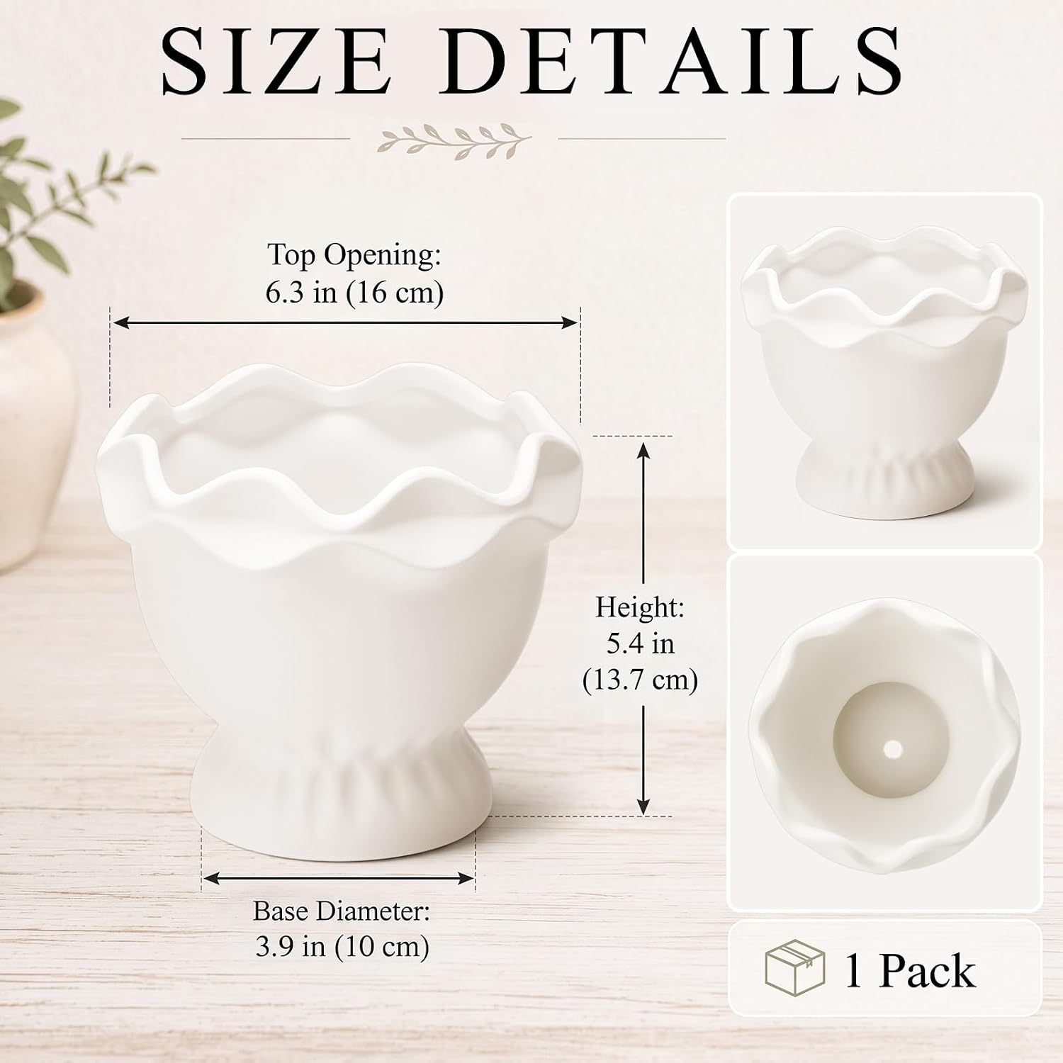 Ceramic Plant Pots Small Rustic Decorative Planter Home Decor Scalloped / 6.3in / Novel / White